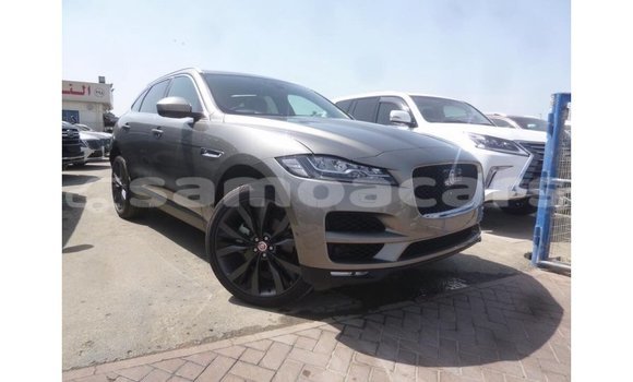 Buy Import Jaguar F-Pace Other Car in Import - Dubai in A'ana