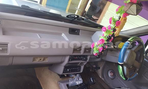 Acheter Occasion Voiture Isuzu Pickup Autre à Falelatai, A'ana