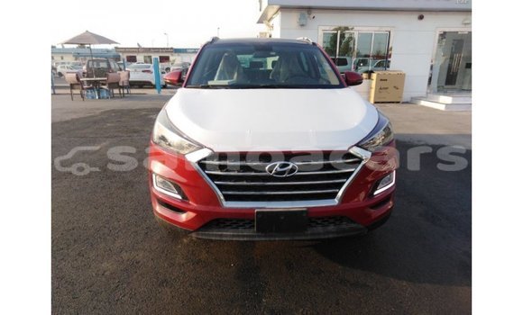 Buy Import Hyundai Tucson Red Car in Import - Dubai in A'ana Buy Import Hyundai Tucson Red Car in Import - Dubai in A'ana
