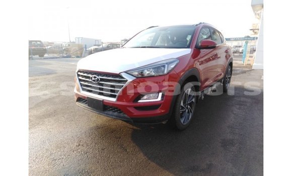 Buy Import Hyundai Tucson Red Car in Import - Dubai in A'ana Buy Import Hyundai Tucson Red Car in Import - Dubai in A'ana