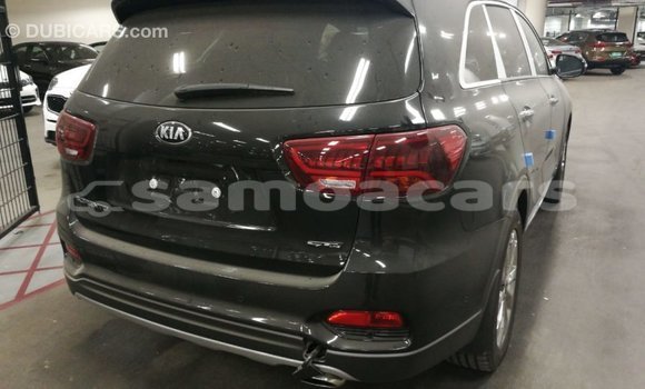 Buy Import Kia Sorento Brown Car in Import - Dubai in A'ana Buy Import Kia Sorento Brown Car in Import - Dubai in A'ana