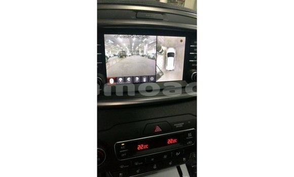 Buy Import Kia Sorento Brown Car in Import - Dubai in A'ana Buy Import Kia Sorento Brown Car in Import - Dubai in A'ana