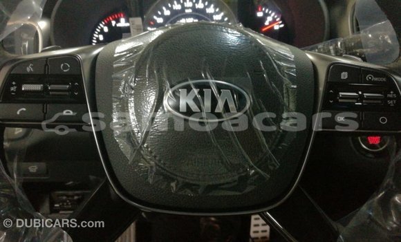 Buy Import Kia Sorento Brown Car in Import - Dubai in A'ana Buy Import Kia Sorento Brown Car in Import - Dubai in A'ana
