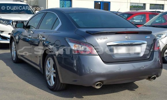 Buy Import Nissan Maxima Other Car in Import - Dubai in A'ana Buy Import Nissan Maxima Other Car in Import - Dubai in A'ana
