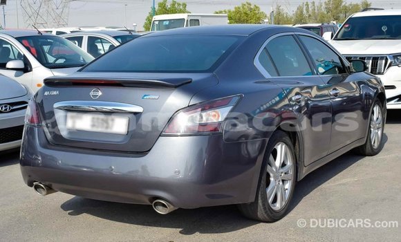 Buy Import Nissan Maxima Other Car in Import - Dubai in A'ana Buy Import Nissan Maxima Other Car in Import - Dubai in A'ana