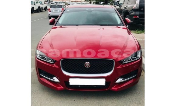 Buy Import Jaguar XE Red Car in Import - Dubai in A'ana
