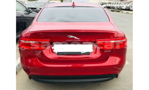 Buy Import Jaguar XE Red Car in Import - Dubai in A'ana Buy Import Jaguar XE Red Car in Import - Dubai in A'ana