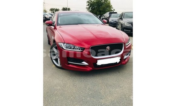 Buy Import Jaguar XE Red Car in Import - Dubai in A'ana Buy Import Jaguar XE Red Car in Import - Dubai in A'ana