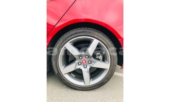 Buy Import Jaguar XE Red Car in Import - Dubai in A'ana Buy Import Jaguar XE Red Car in Import - Dubai in A'ana
