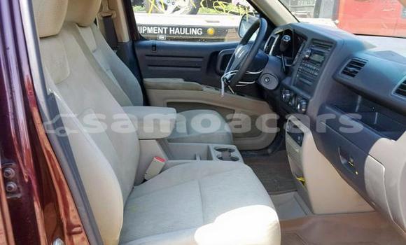 Buy Import Honda Ridgeline Other Car in Apai in Aiga-i-le-Tai Buy Import Honda Ridgeline Other Car in Apai in Aiga-i-le-Tai