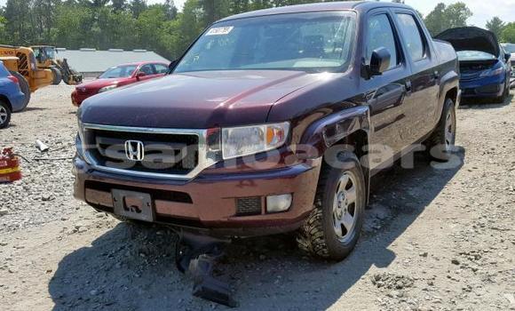 Buy Import Honda Ridgeline Other Car in Apai in Aiga-i-le-Tai Buy Import Honda Ridgeline Other Car in Apai in Aiga-i-le-Tai