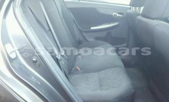 Acheter Import Voiture Volkswagen Golf Plus Autre à Import - Dubai, A'ana