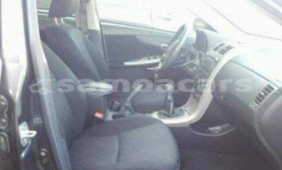 Buy Import Volkswagen Golf Plus Other Car in Import - Dubai in A'ana Buy Import Volkswagen Golf Plus Other Car in Import - Dubai in A'ana