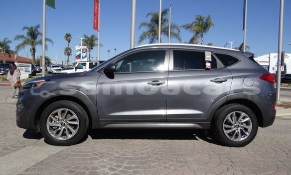 Acheter Occasion Voiture Hyundai Tucson Autre à Apia, Tuamasaga Acheter Occasion Voiture Hyundai Tucson Autre à Apia, Tuamasaga