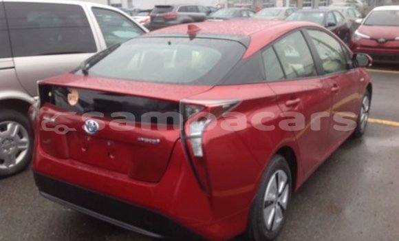 Buy Import Toyota Prius Alpha Red Car in Import - Dubai in A'ana Buy Import Toyota Prius Alpha Red Car in Import - Dubai in A'ana
