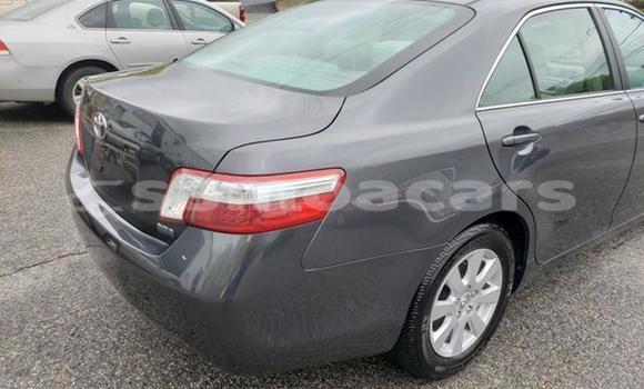Buy Import Toyota Camry (Japan) Other Car in Import - Dubai in A'ana Buy Import Toyota Camry (Japan) Other Car in Import - Dubai in A'ana