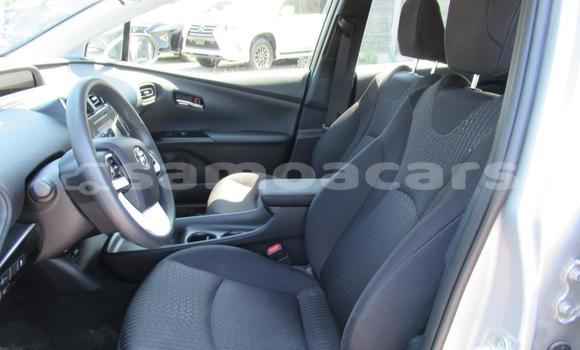 Buy Import Toyota Prius Alpha Silver Car in Import - Dubai in A'ana Buy Import Toyota Prius Alpha Silver Car in Import - Dubai in A'ana