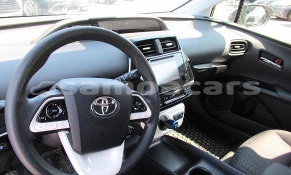 Buy Import Toyota Prius Alpha Silver Car in Import - Dubai in A'ana Buy Import Toyota Prius Alpha Silver Car in Import - Dubai in A'ana