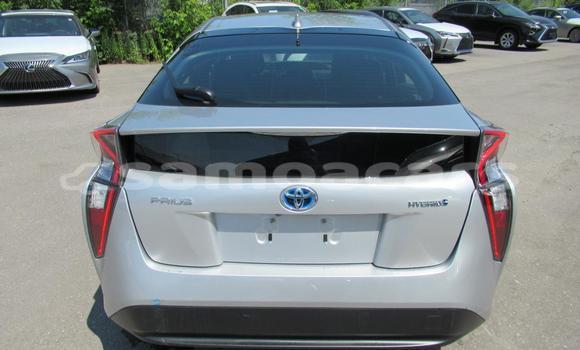 Buy Import Toyota Prius Alpha Silver Car in Import - Dubai in A'ana Buy Import Toyota Prius Alpha Silver Car in Import - Dubai in A'ana