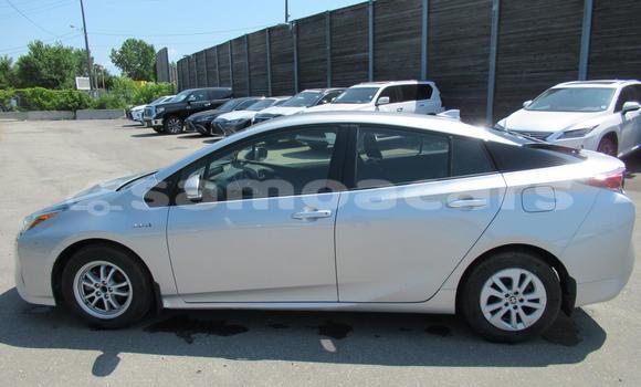 Buy Import Toyota Prius Alpha Silver Car in Import - Dubai in A'ana Buy Import Toyota Prius Alpha Silver Car in Import - Dubai in A'ana