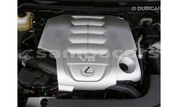 Buy Import Lexus LX White Car in Import - Dubai in A'ana Buy Import Lexus LX White Car in Import - Dubai in A'ana