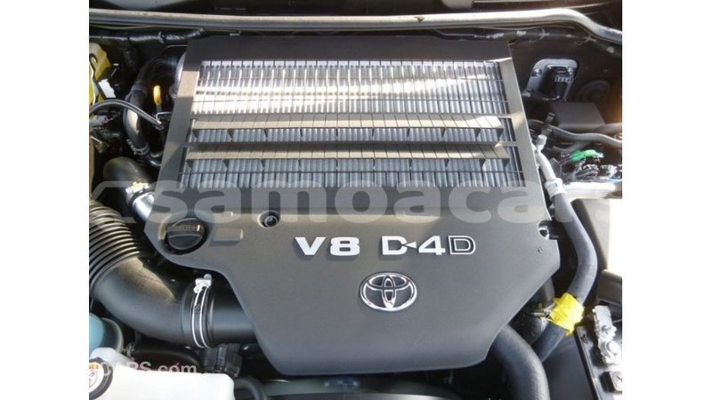 Big with watermark c517b7bc 194b 427c 831f e15948be6f0e