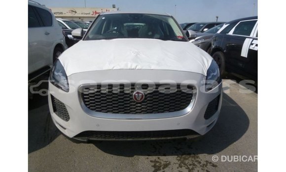 Buy Import Jaguar E-Pace White Car in Import - Dubai in A'ana Buy Import Jaguar E-Pace White Car in Import - Dubai in A'ana