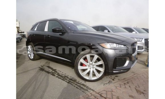 Buy Import Jaguar F-Type Black Car in Import - Dubai in A'ana