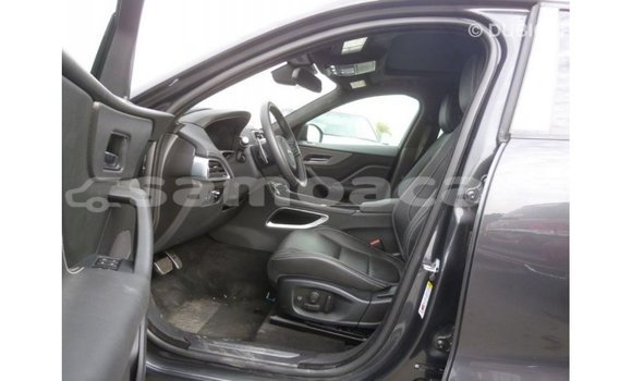 Buy Import Jaguar F-Type Black Car in Import - Dubai in A'ana Buy Import Jaguar F-Type Black Car in Import - Dubai in A'ana
