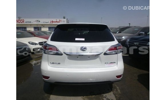 Buy Import Lexus RX White Car in Import - Dubai in A'ana Buy Import Lexus RX White Car in Import - Dubai in A'ana