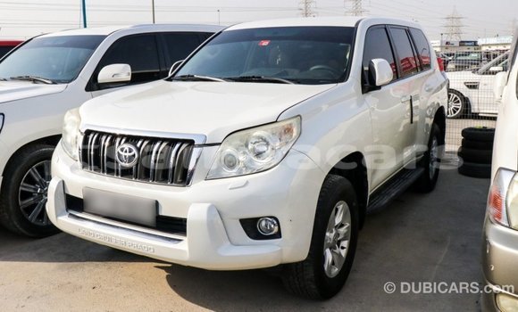 Buy Import Toyota Prado White Car in Import - Dubai in A'ana Buy Import Toyota Prado White Car in Import - Dubai in A'ana
