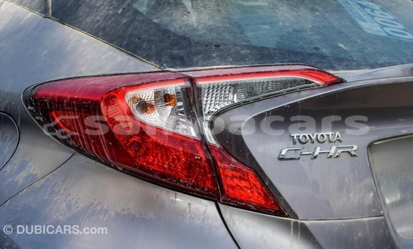 Buy Import Toyota C-HR Other Car in Import - Dubai in A'ana Buy Import Toyota C-HR Other Car in Import - Dubai in A'ana