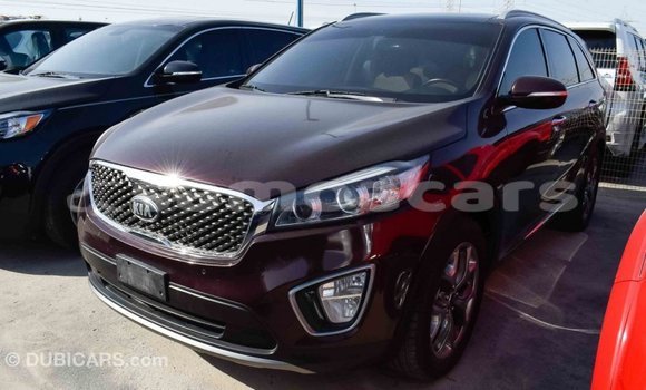 Buy Import Kia Sorento Brown Car in Import - Dubai in A'ana Buy Import Kia Sorento Brown Car in Import - Dubai in A'ana