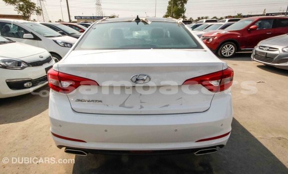 Buy Import Hyundai Sonata White Car in Import - Dubai in A'ana Buy Import Hyundai Sonata White Car in Import - Dubai in A'ana