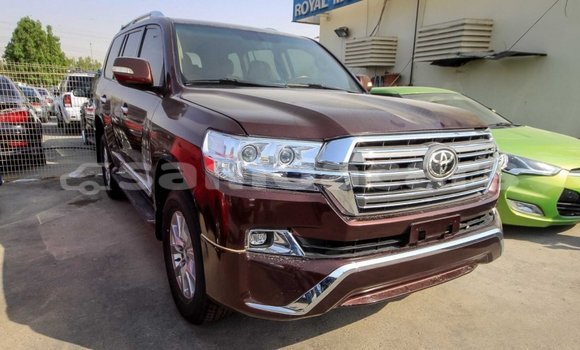 Buy Import Toyota Land Cruiser Brown Car in Import - Dubai in A'ana Buy Import Toyota Land Cruiser Brown Car in Import - Dubai in A'ana