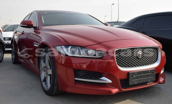 Buy Import Jaguar XE Red Car in Import - Dubai in A'ana