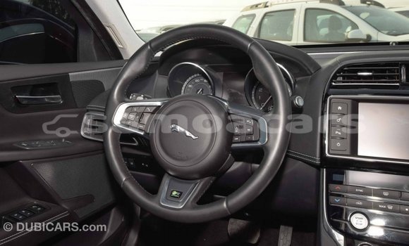 Acheter Import Voiture Jaguar XE Rouge à Import - Dubai, A'ana Acheter Import Voiture Jaguar XE Rouge à Import - Dubai, A'ana