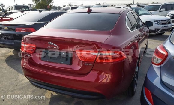 Acheter Import Voiture Jaguar XE Rouge à Import - Dubai, A'ana Acheter Import Voiture Jaguar XE Rouge à Import - Dubai, A'ana
