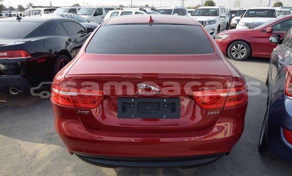 Acheter Import Voiture Jaguar XE Rouge à Import - Dubai, A'ana Acheter Import Voiture Jaguar XE Rouge à Import - Dubai, A'ana