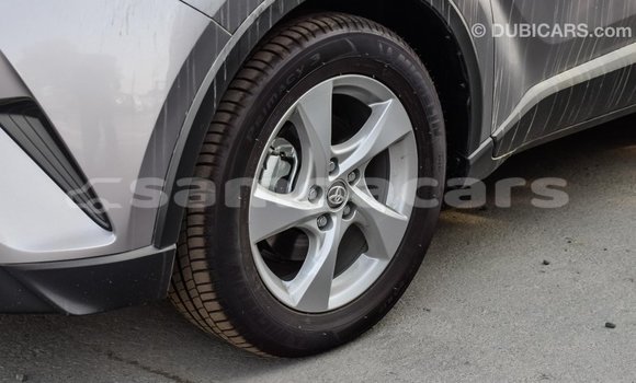 Buy Import Toyota C-HR Other Car in Import - Dubai in A'ana Buy Import Toyota C-HR Other Car in Import - Dubai in A'ana