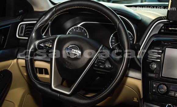 Acheter Import Voiture Nissan Maxima Blanc à Import - Dubai, A'ana Acheter Import Voiture Nissan Maxima Blanc à Import - Dubai, A'ana