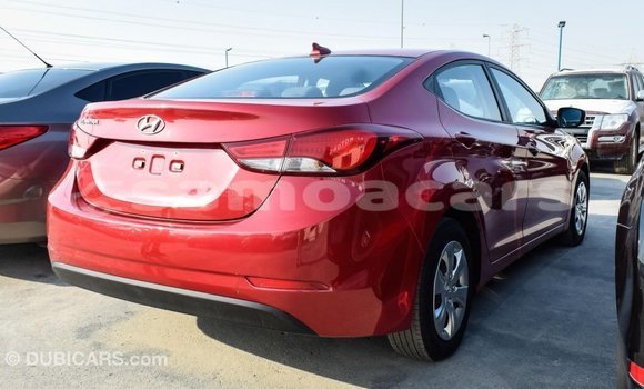 Buy Import Hyundai Elantra Red Car in Import - Dubai in A'ana Buy Import Hyundai Elantra Red Car in Import - Dubai in A'ana