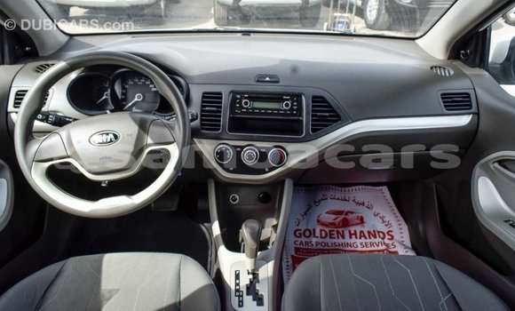 Buy Import Kia Picanto White Car in Import - Dubai in A'ana Buy Import Kia Picanto White Car in Import - Dubai in A'ana