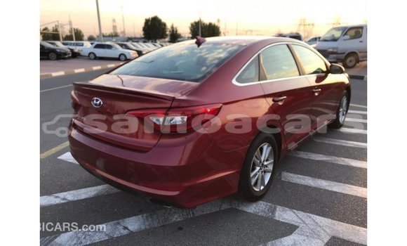 Acheter Import Voiture Hyundai Sonata Rouge à Import - Dubai, A'ana Acheter Import Voiture Hyundai Sonata Rouge à Import - Dubai, A'ana