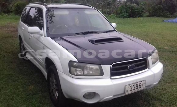 Acheter Occasion Voiture Subaru Forester Blanc à Apia, Tuamasaga