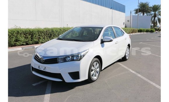 Acheter Import Voiture Toyota Corolla Blanc à Import - Dubai, A'ana Acheter Import Voiture Toyota Corolla Blanc à Import - Dubai, A'ana