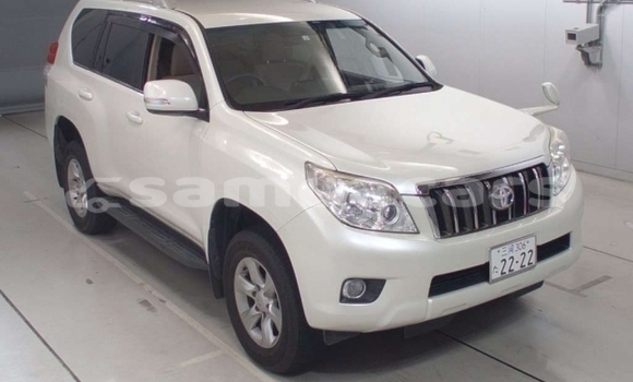Acheter Occasion Voiture Toyota Land Cruiser Prado Blanc à Apia, Tuamasaga Acheter Occasion Voiture Toyota Land Cruiser Prado Blanc à Apia, Tuamasaga