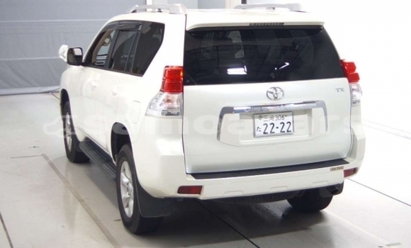 Acheter Occasion Voiture Toyota Land Cruiser Prado Blanc à Apia, Tuamasaga Acheter Occasion Voiture Toyota Land Cruiser Prado Blanc à Apia, Tuamasaga