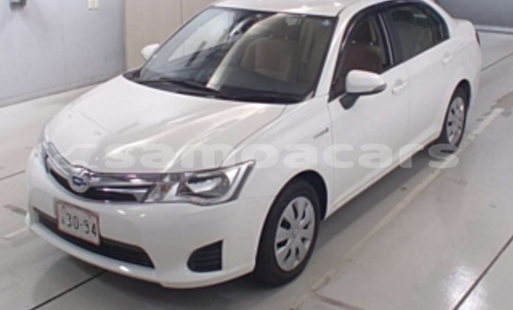Acheter Occasion Voiture Toyota Axio Blanc à Apia, Tuamasaga Acheter Occasion Voiture Toyota Axio Blanc à Apia, Tuamasaga
