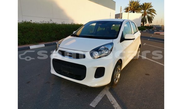 Acheter Import Voiture Kia Picanto Blanc à Import - Dubai, A'ana Acheter Import Voiture Kia Picanto Blanc à Import - Dubai, A'ana